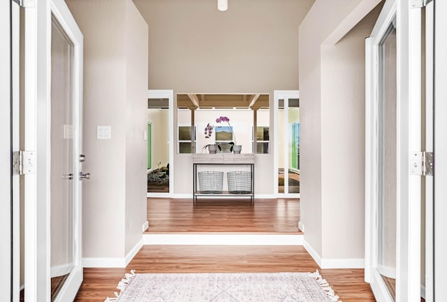 hall featuring wood-type flooring