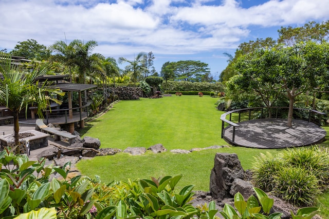 view of yard featuring a patio