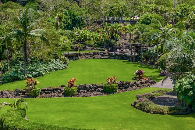 view of property's community with a yard