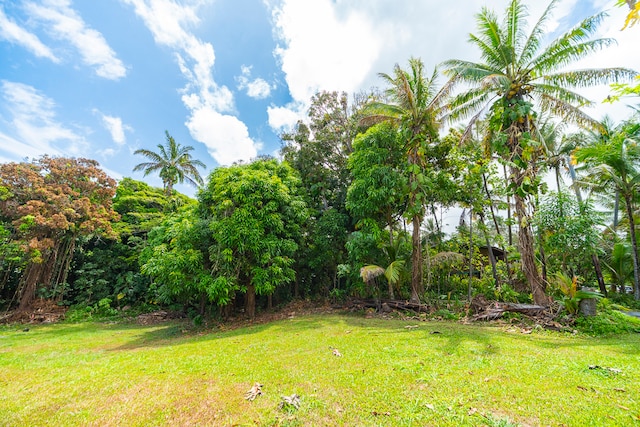 Listing photo 3 for Oleole St, Pahoa HI 96778