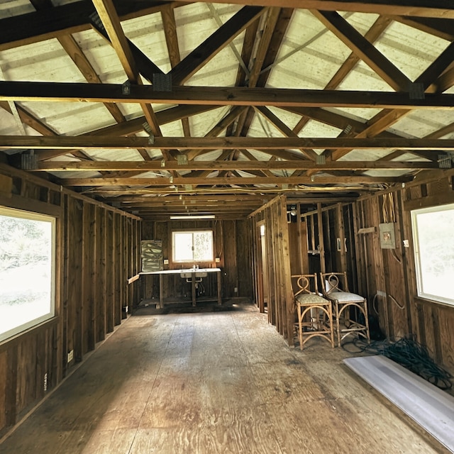 misc room with vaulted ceiling and a wealth of natural light