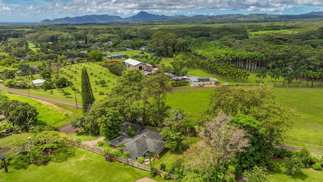 aerial view featuring a mountain view and a rural view