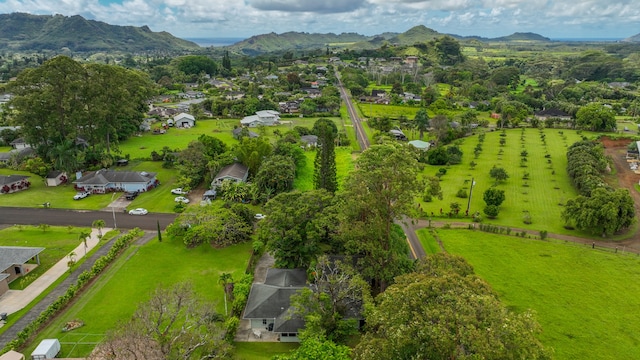 birds eye view of property featuring a mountain view