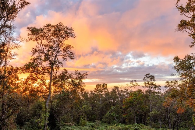 view of nature at dusk