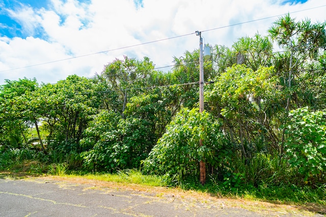 Listing photo 2 for Koaekea St, Pahoa HI 96778