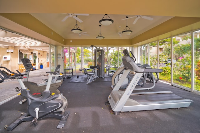 workout area featuring lofted ceiling and ceiling fan