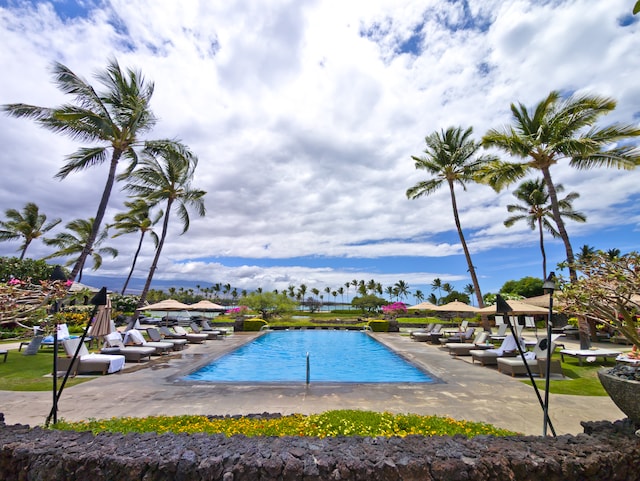 view of swimming pool with a patio