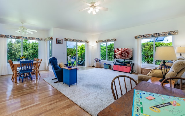 living room featuring light wood-type flooring, ceiling fan, and a wealth of natural light