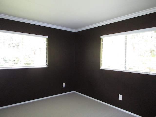 unfurnished room featuring carpet floors, a wealth of natural light, and ornamental molding