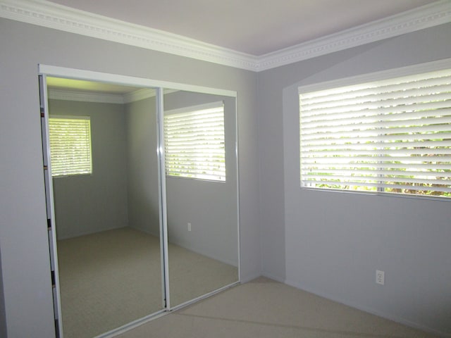 interior space featuring ornamental molding and a closet