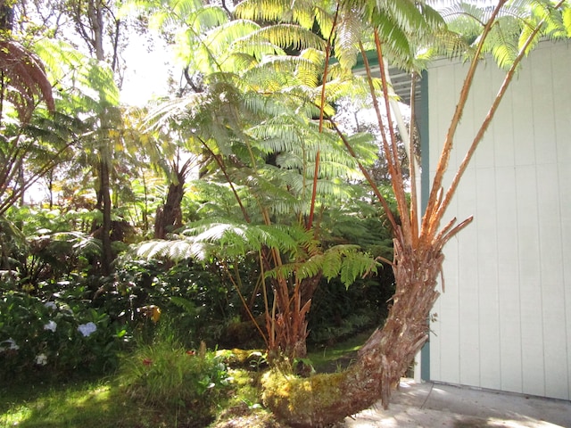 view of yard featuring a pergola