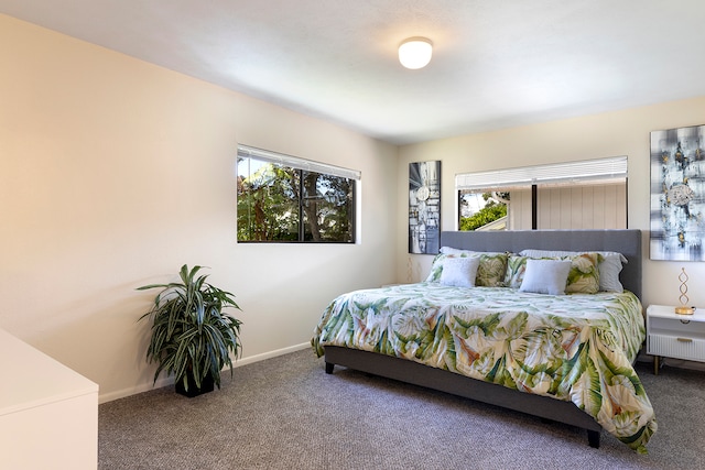 carpeted bedroom with multiple windows