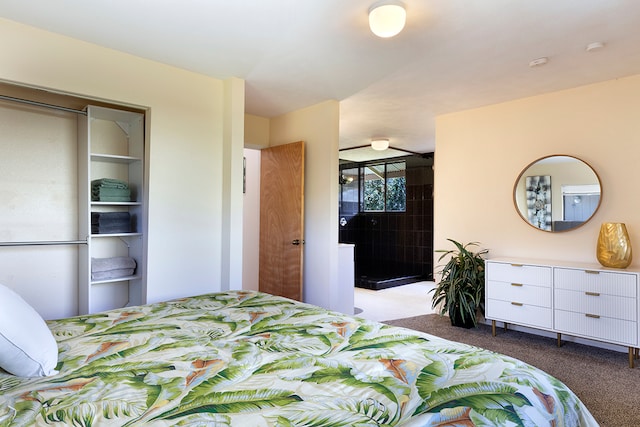 bedroom with a closet and carpet floors