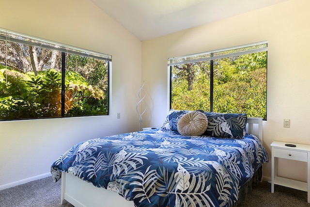 bedroom featuring lofted ceiling, multiple windows, and carpet floors