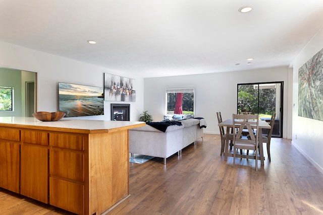 living room with wood-type flooring