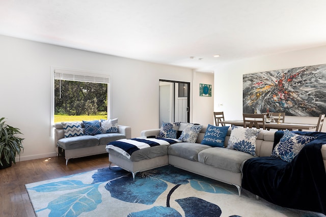 living room with dark wood-type flooring