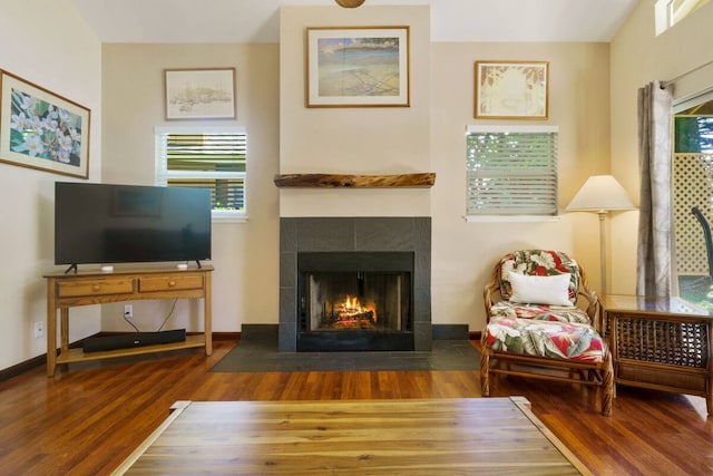 living room with a fireplace, lofted ceiling, and hardwood / wood-style flooring