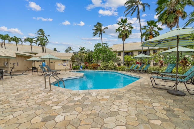 view of pool featuring a patio