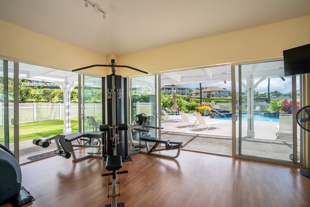 workout room featuring wood-type flooring, a healthy amount of sunlight, and rail lighting