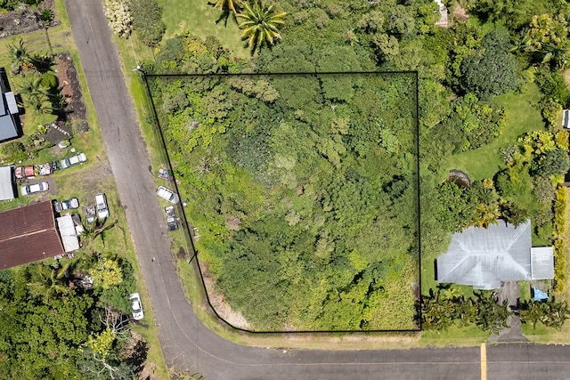 Listing photo 2 for Ainaloa Way, Pahoa HI 96778