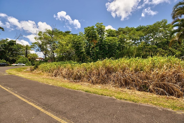 Listing photo 3 for Ainaloa Way, Pahoa HI 96778