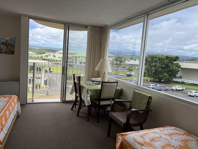 101 Hilo Lagoon Ctr Unit 401, Hilo, HI 96720 - sunroom featuring plenty of natural light