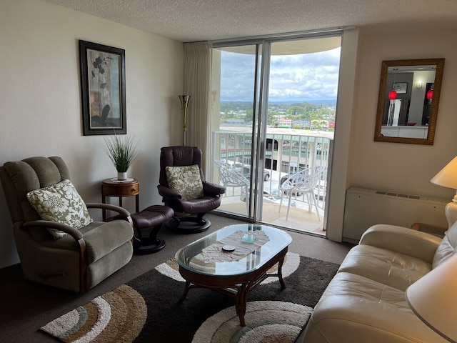 101 Hilo Lagoon Ctr Unit 401, Hilo, HI 96720 - living room with floor to ceiling windows, carpet floors, a textured ceiling, and radiator