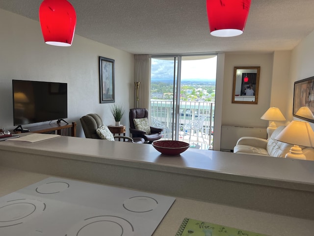 101 Hilo Lagoon Ctr Unit 401, Hilo, HI 96720 - living area featuring a textured ceiling, expansive windows, and radiator heating unit