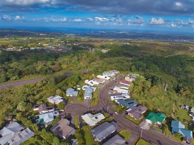 bird's eye view