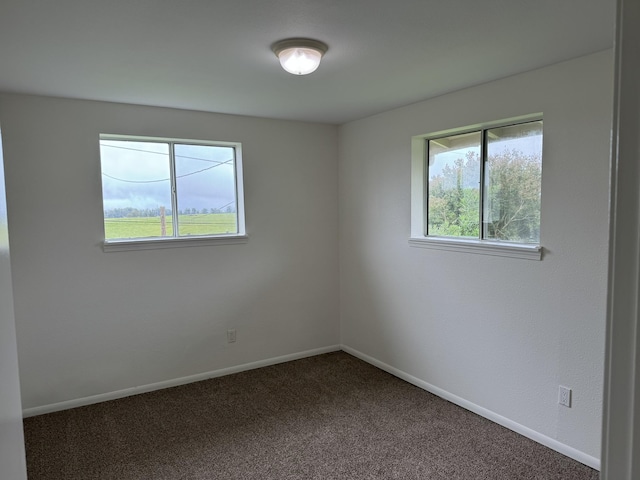 carpeted empty room featuring a wealth of natural light