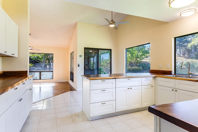 kitchen featuring white cabinetry, a textured ceiling, plenty of natural light, and sink