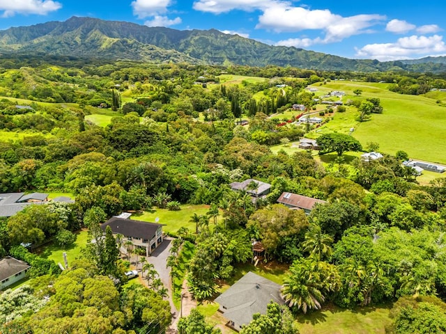 drone / aerial view featuring a mountain view