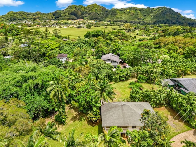 bird's eye view featuring a mountain view