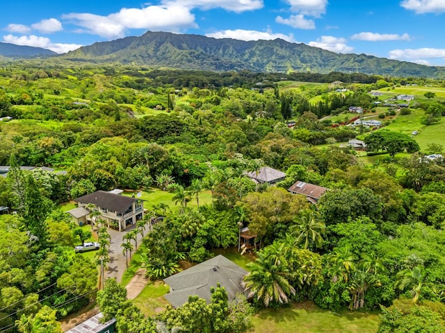 aerial view with a mountain view