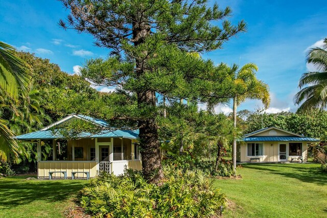 back of house featuring a lawn