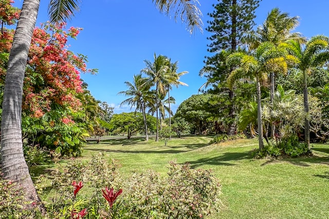 view of yard