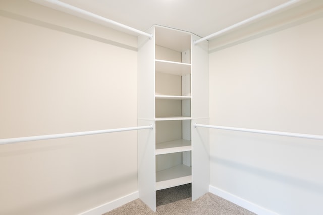 walk in closet with carpet