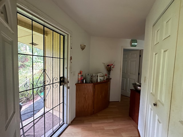 entryway featuring light wood-type flooring