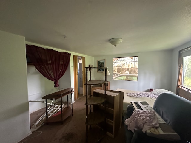 bedroom with carpet and multiple windows