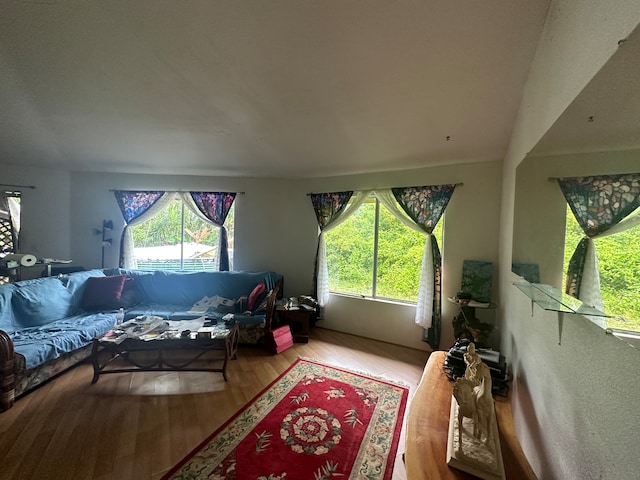 living room featuring hardwood / wood-style flooring and plenty of natural light