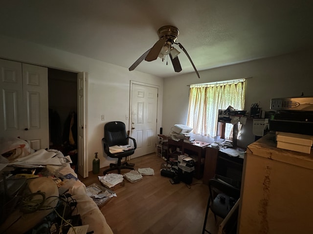 bedroom featuring ceiling fan and wood-type flooring