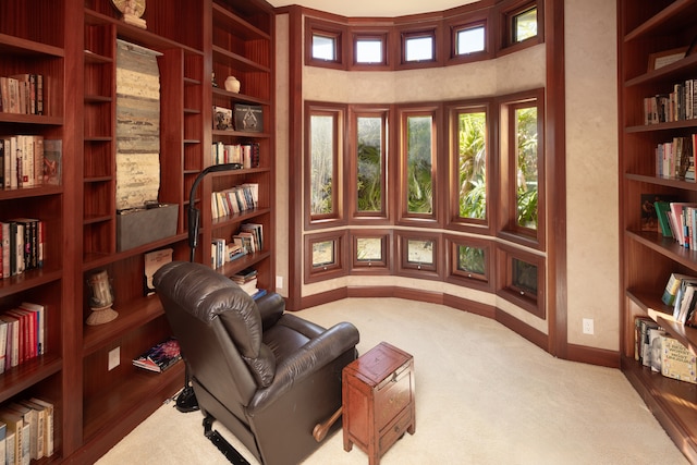 sitting room with carpet flooring