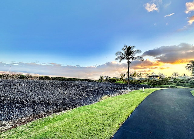 Listing photo 2 for Pukaua Pl, Kamuela HI 96743