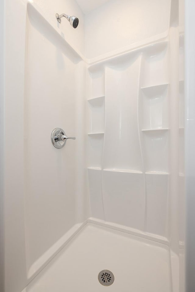 bathroom with a shower