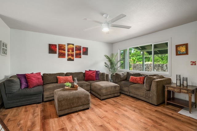 living room with ceiling fan, hardwood / wood-style flooring, and a textured ceiling