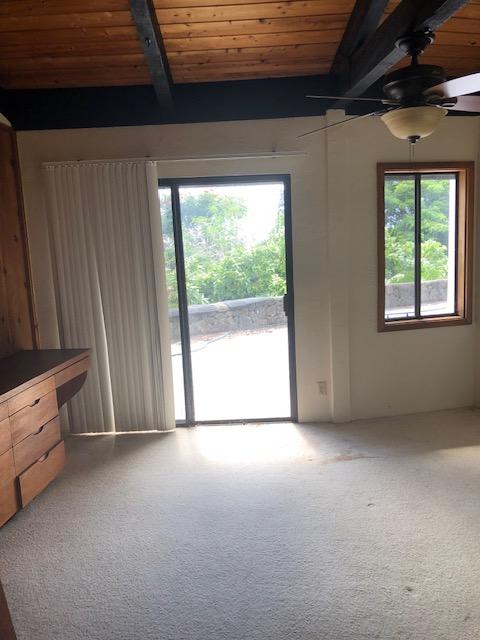 interior space featuring carpet, wooden ceiling, a healthy amount of sunlight, and ceiling fan