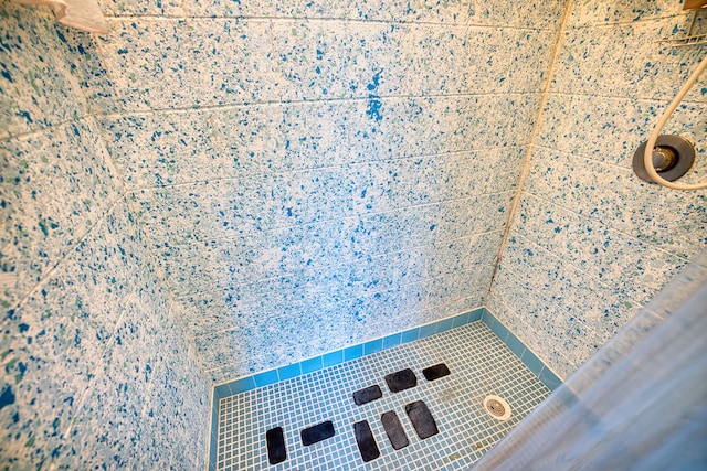 interior details featuring a tile shower