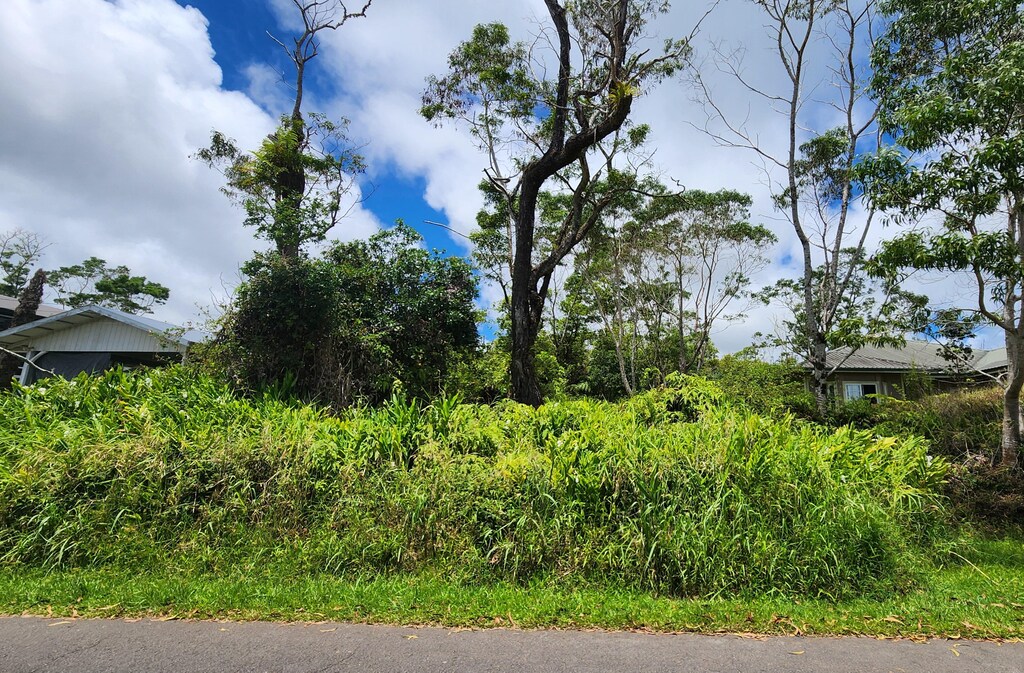 25-155 Ua Nahele St, Hilo, HI 96720