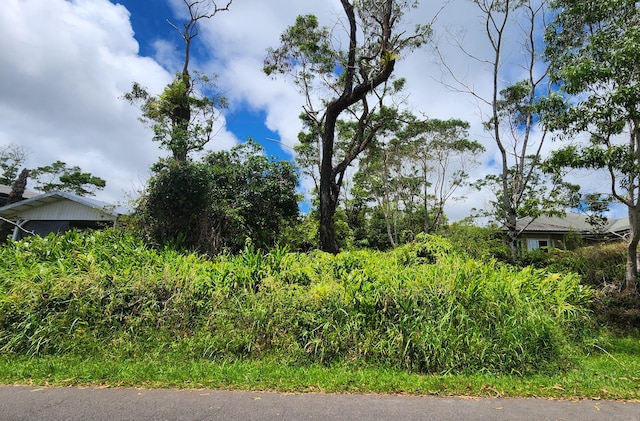 25-155 Ua Nahele St, Hilo, HI 96720