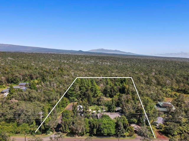 drone / aerial view featuring a mountain view